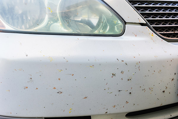 ボディについた虫の死骸を放置するのは危険 ブログ 神戸で板金塗装 車のキズ ヘコミ修理ならエヌクオリティ