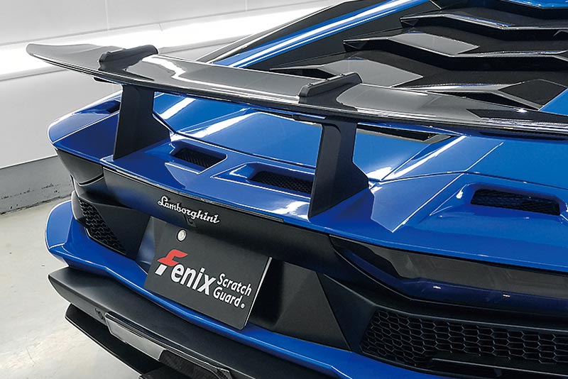 08rearwing